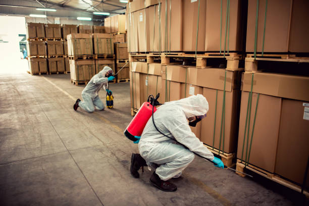 Wasp Removal Services in Lebanon, IN