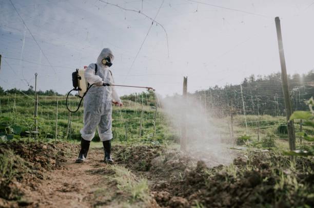 Professional Pest Control in Lebanon, IN