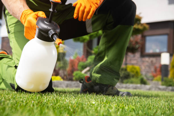 Best Wasp Removal Services  in Lebanon, IN