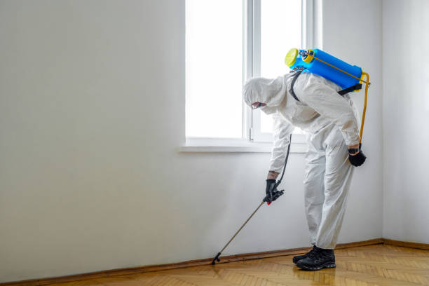 Best Local Pest Control Services  in Lebanon, IN