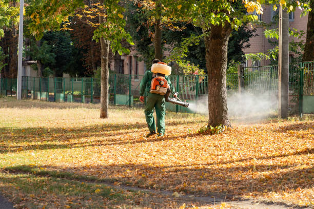 Best Flea Control Services  in Lebanon, IN