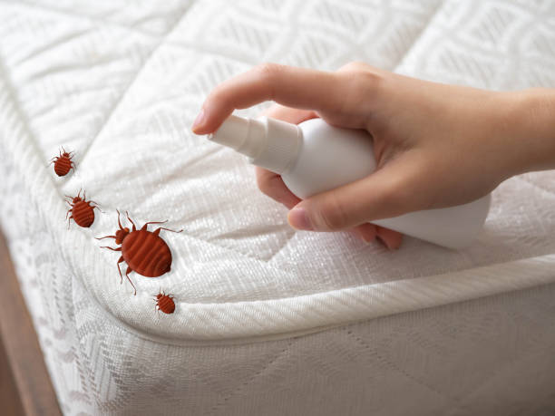 Best Best Pest Control Companies  in Lebanon, IN