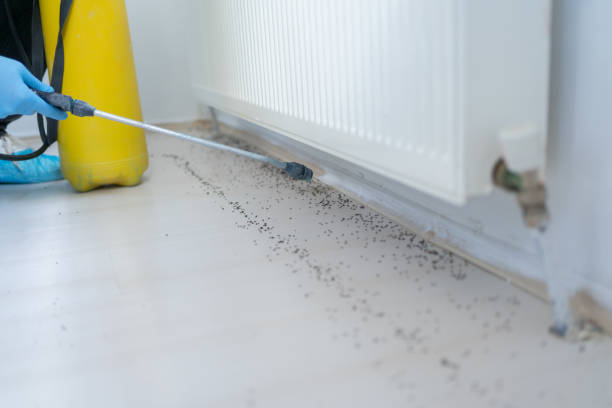 Best Emergency Pest Control  in Lebanon, IN